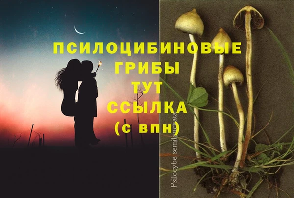 бутират Бородино