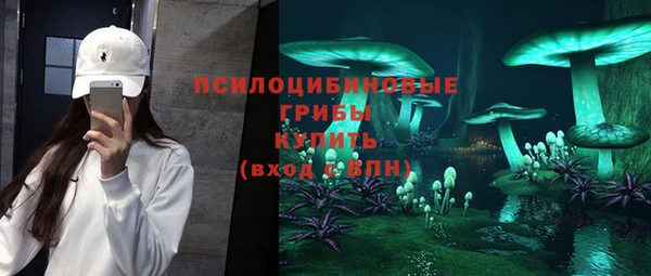 бутират Бородино