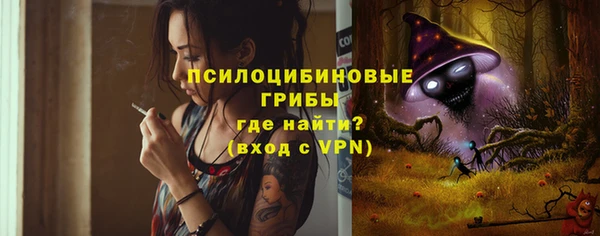 герыч Бронницы